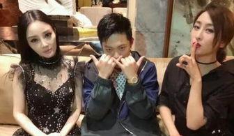 娱乐圈今日吃瓜小说,揭秘明星背后的秘密与八卦风云