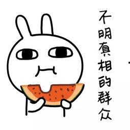 娱乐吃瓜酱笑点低,笑点低到吃瓜也能笑出声的娱乐酱